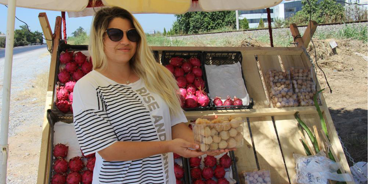 Faydaları saymakla bitmiyor