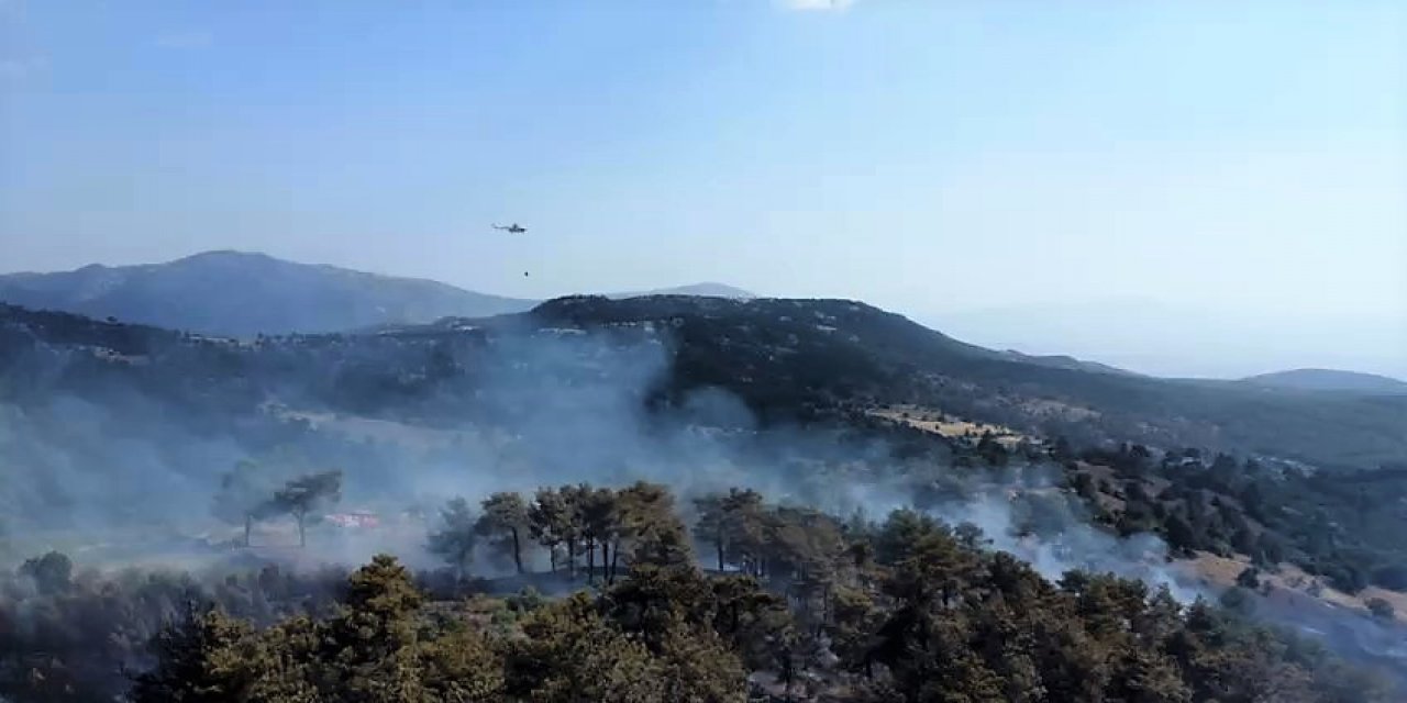 Denizli’deki orman yangını kontrol altına alındı