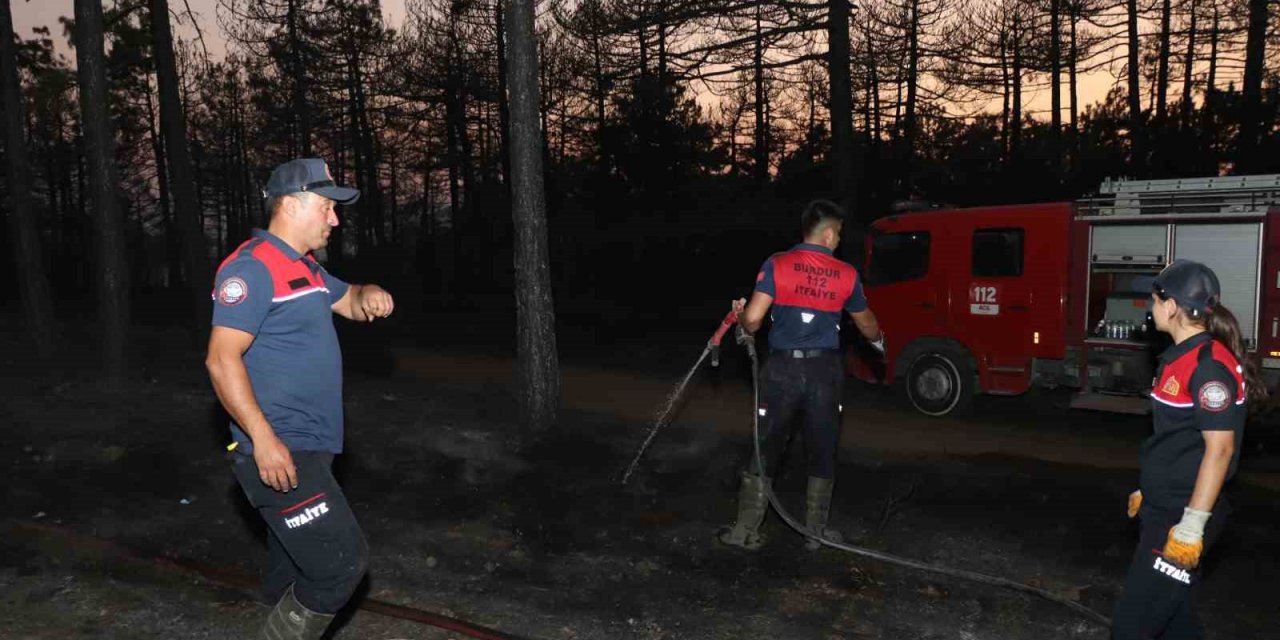 Denizli’de orman yangınında 20 hektar alan kül oldu