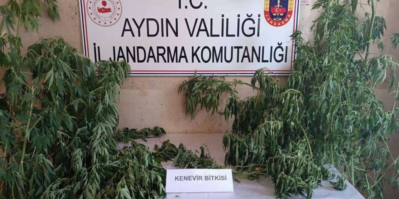Jandarma uyuşturucu satıcılarına nefes aldırmıyor