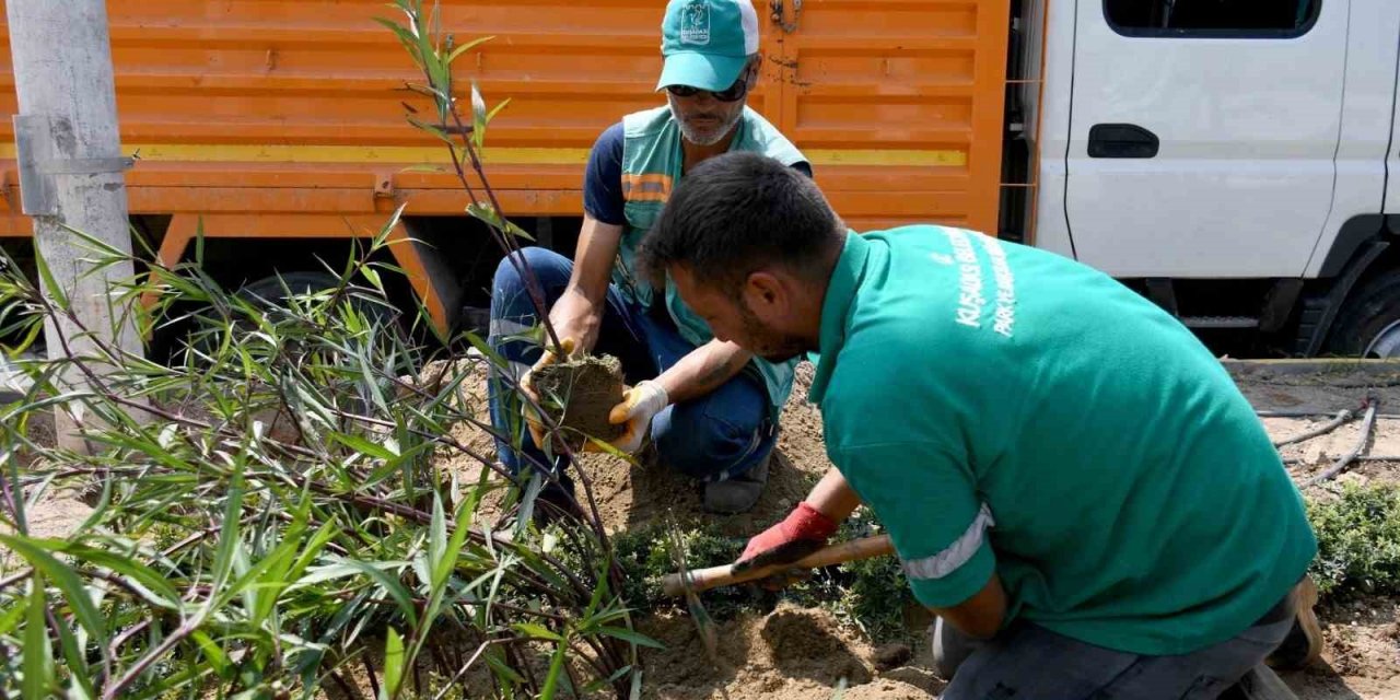 Davutlar Mahallesi’nde peyzaj çalışmaları devam ediyor