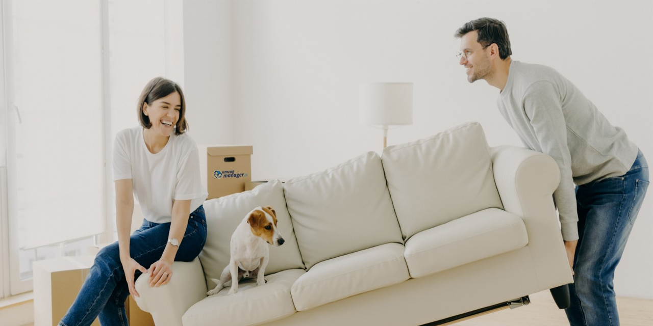 Umzugmanager Kullanıcılarından Olumlu Geri Dönüşler: İsviçre'de Nakliye İşlemleri Artık Daha Hızlı ve Kolay