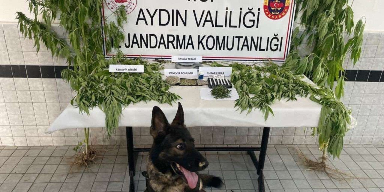 Jandarmadan uyuşturucu operasyonu: 27 tutuklama