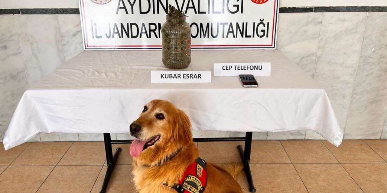 Kuyucak’ta uyuşturucu operasyonu