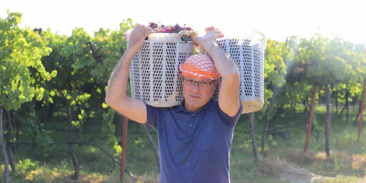 Alaşehir festivalle coşacak