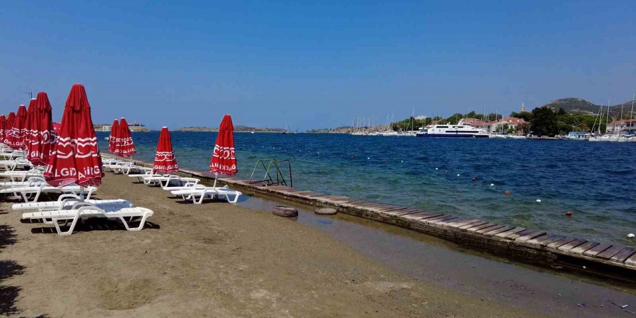 İzmir Foça’da turizmi denizanası vurdu, plajlar boş kaldı