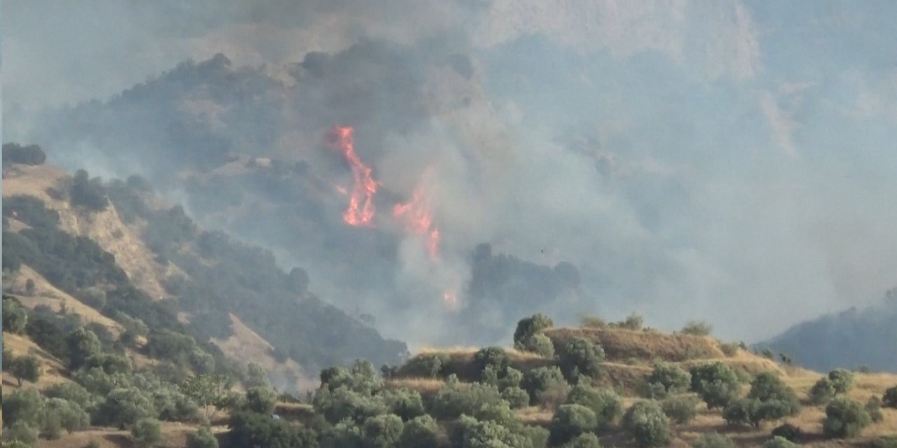 Manisa’da orman yangını havadan ve karadan müdahaleyle söndürüldü