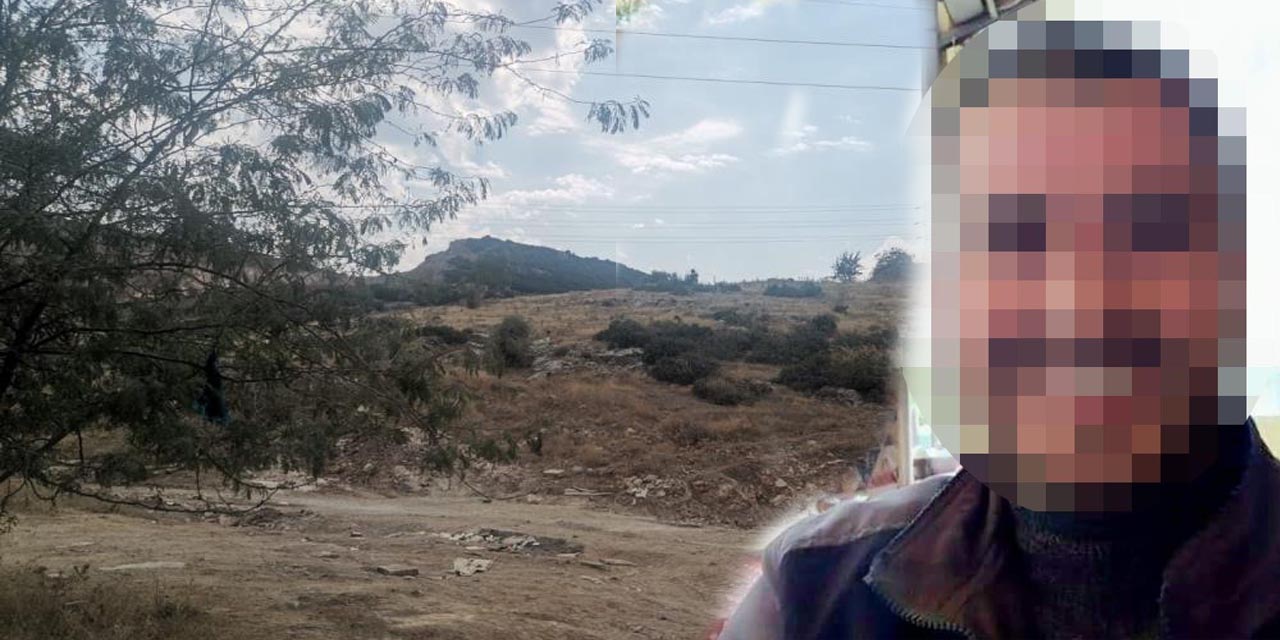 Çobanın kestiği insan başını köpekler buldu