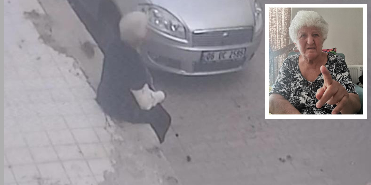Farenin ısırdığı kadın hastanelik oldu