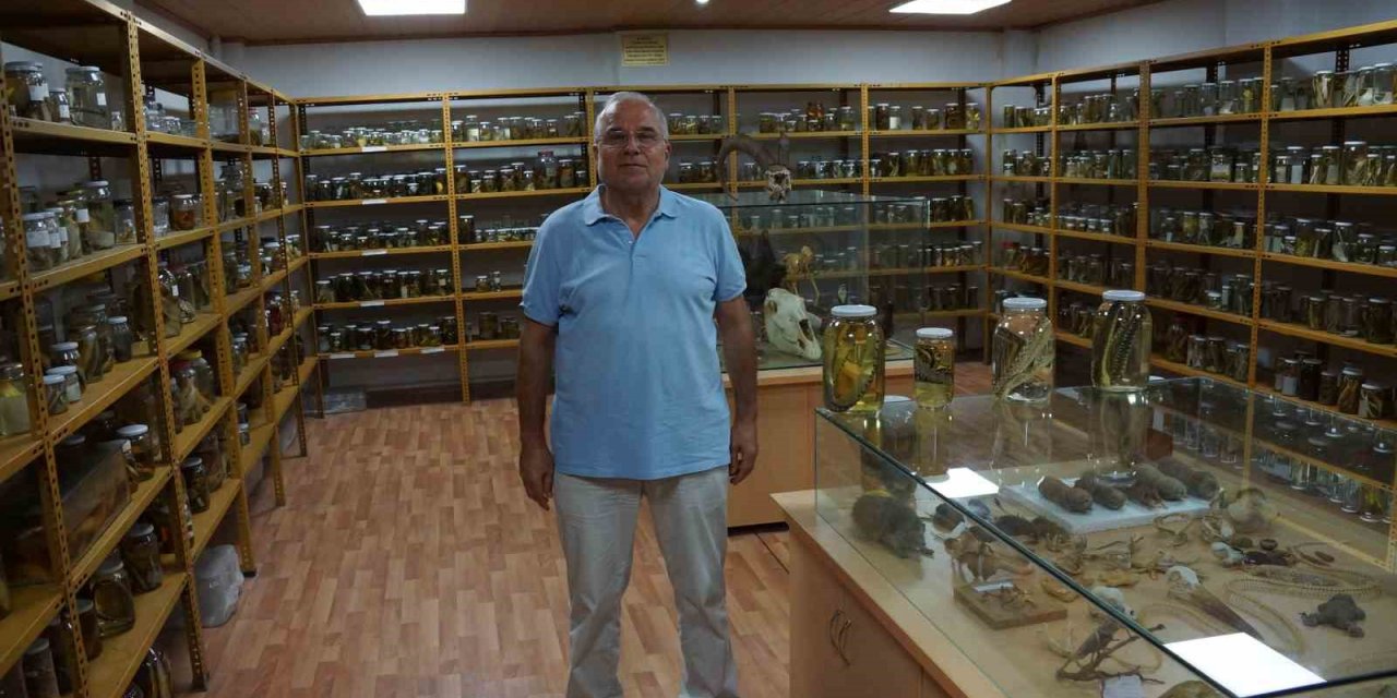 Bu müze diğerlerinden farklı