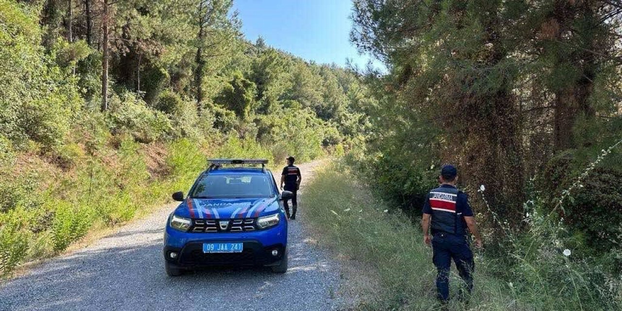 Jandarma devriyesine 6 yeni araç tahsis edildi