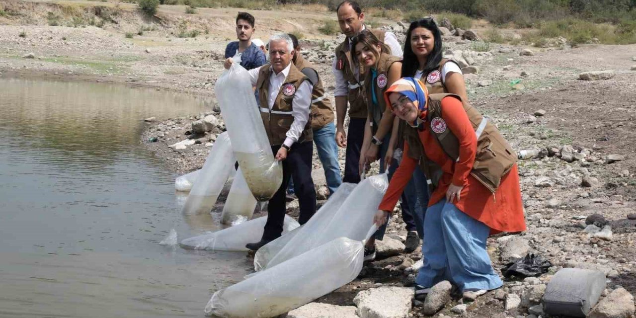 Manisa’da 890 bin sazan suyla buluştu
