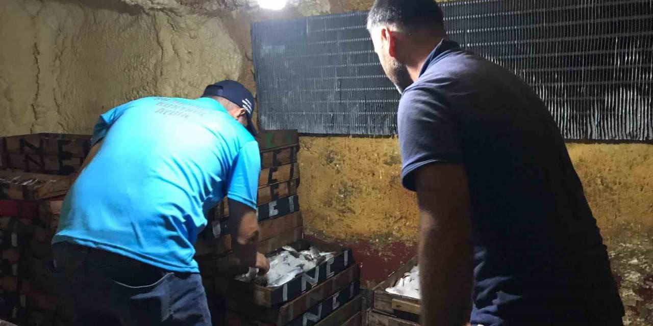 Didim’de su ürünleri denetimi yapıldı