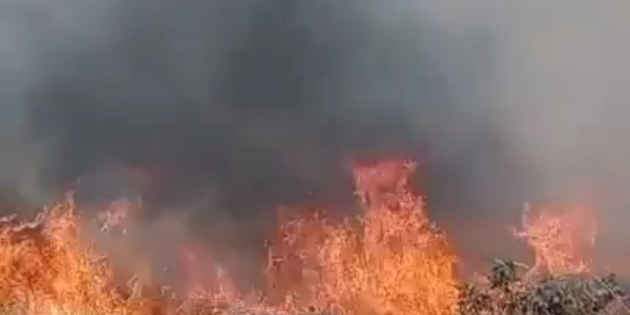 Buldan’da çıkan yangın, ormana sıçramadan söndürüldü