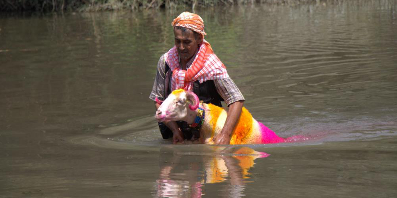 Sudan Koyun Geçirme Yarışması renkli görüntülere sahne oldu