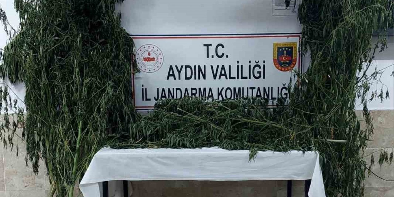 Nazilli’de uyuşturucu operasyonu