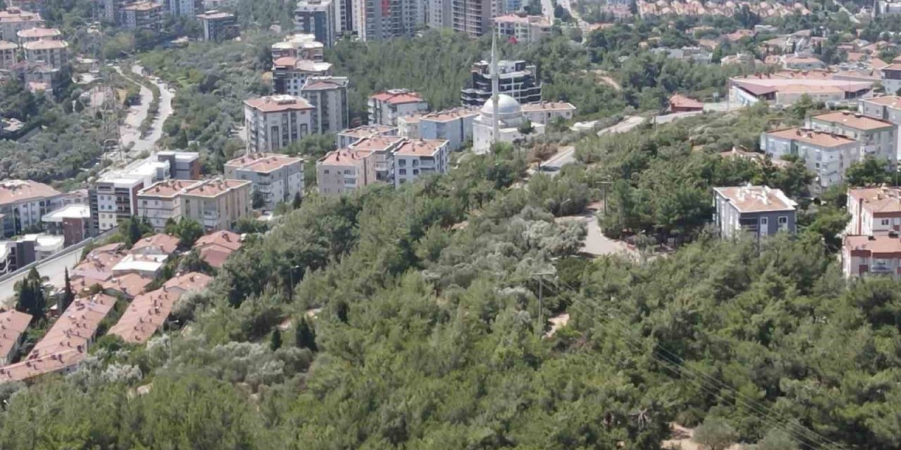 İzmir’de bir mahalle orman yangını korkusuyla yaşıyor