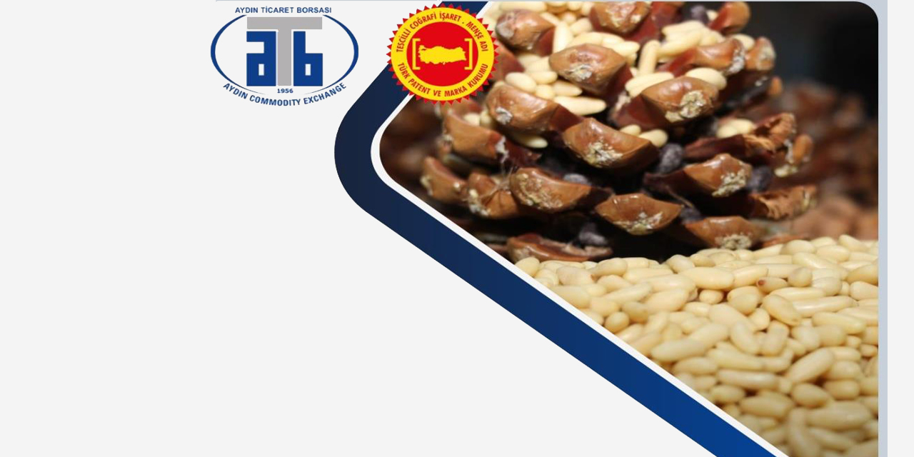 Aydın Çam Fıstığı, AB yolunda