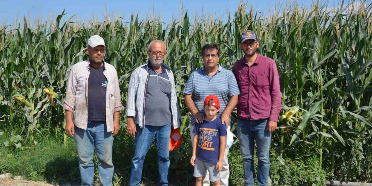 Çiftçi torunundan Cumhurbaşkanı Erdoğan’a mısır talebi