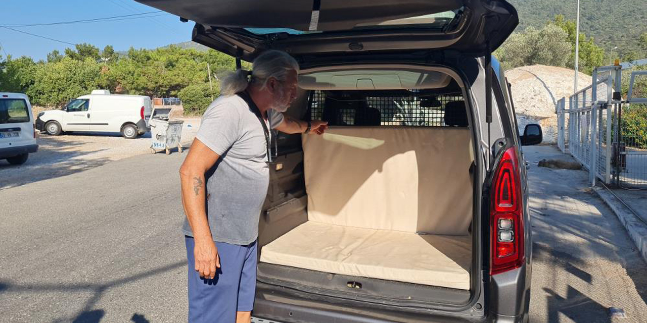 Kedi camı kafasıyla kırıp kaçtı