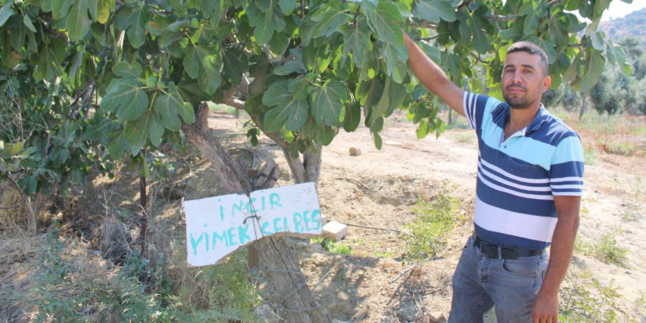 Bahçesine öyle bir not astı ki, gören şaşırdı kaldı