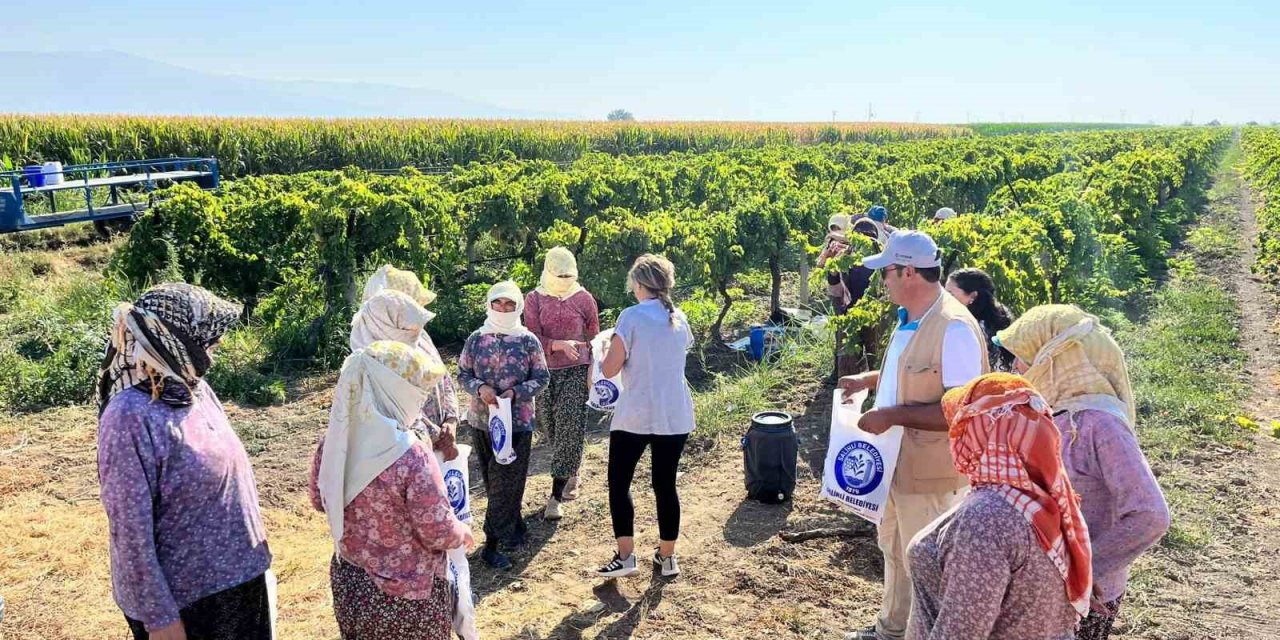 Salihli’de üzüm işçilerine serinleten ikram