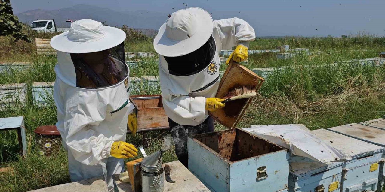Aydın’da kadınlar arıcılık mesleğinde de söz sahibi olmaya başladı