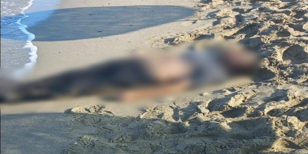 Kuşadası’nda deniz kıyısına vurmuş erkek cesedi bulundu