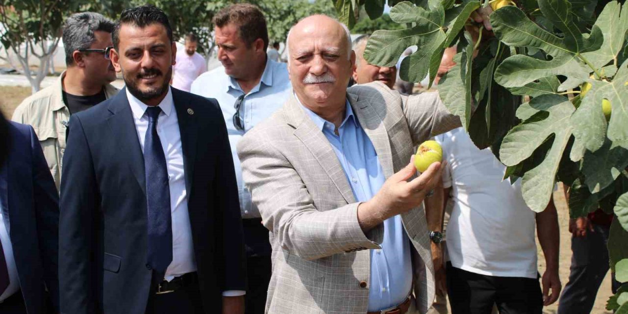 TZOB Genel Başkanı Bayraktar: “TMO’nun piyasaya girmesi sağlanmalıdır”