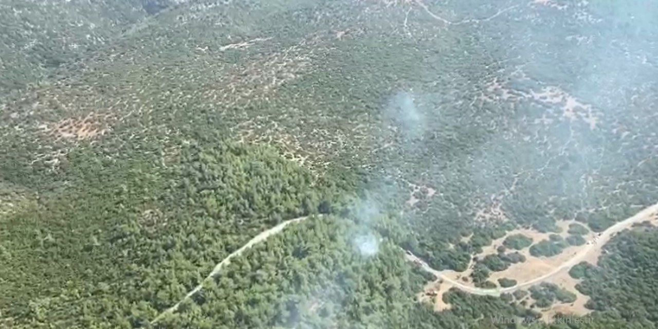 İzmir Selçuk’taki orman yangını kontrol altına alındı