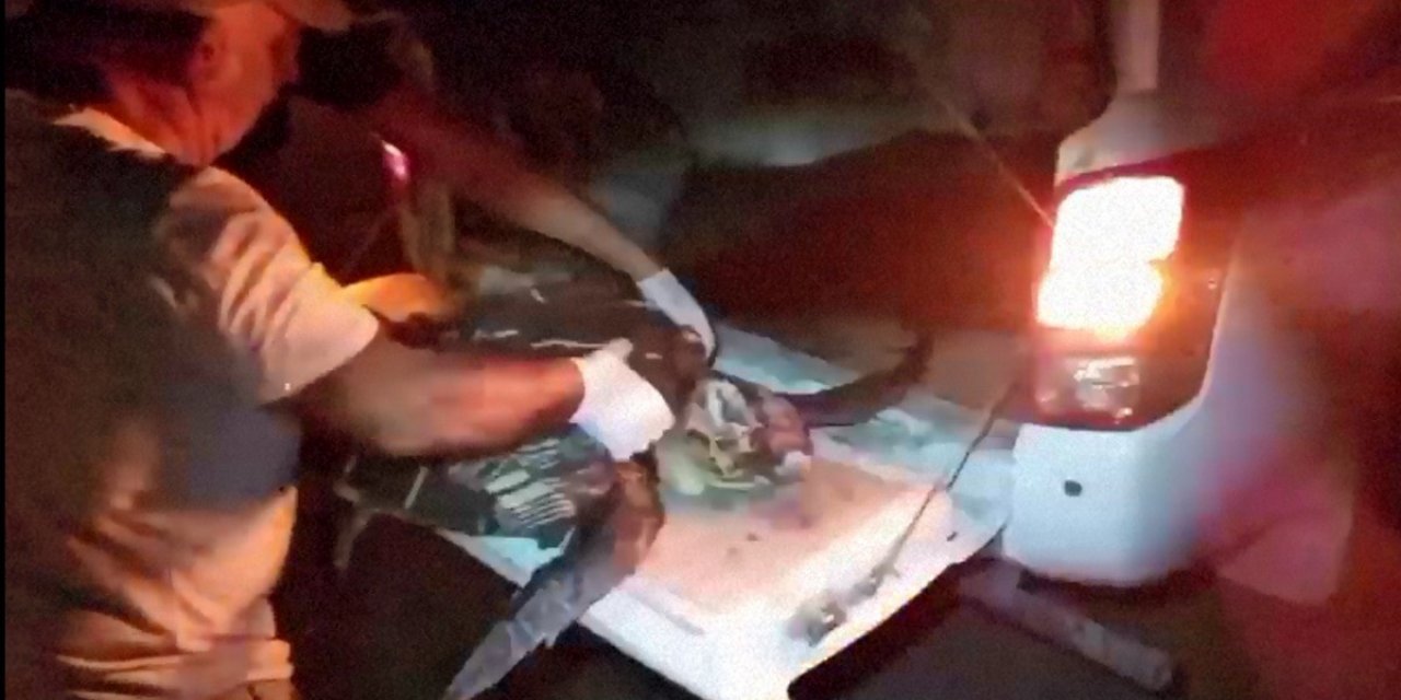 Yaralı olarak bulunan deniz kaplumbağası için seferber oldular