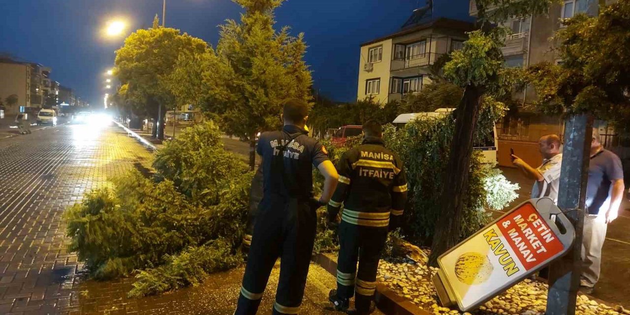 Manisa’da fırtına ağaçları devirdi