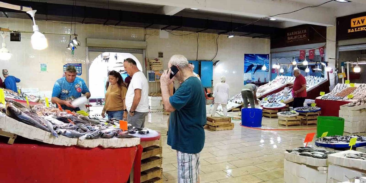 Av yasağı bitti, tezgâhları hamsi ve sardalya süslüyor