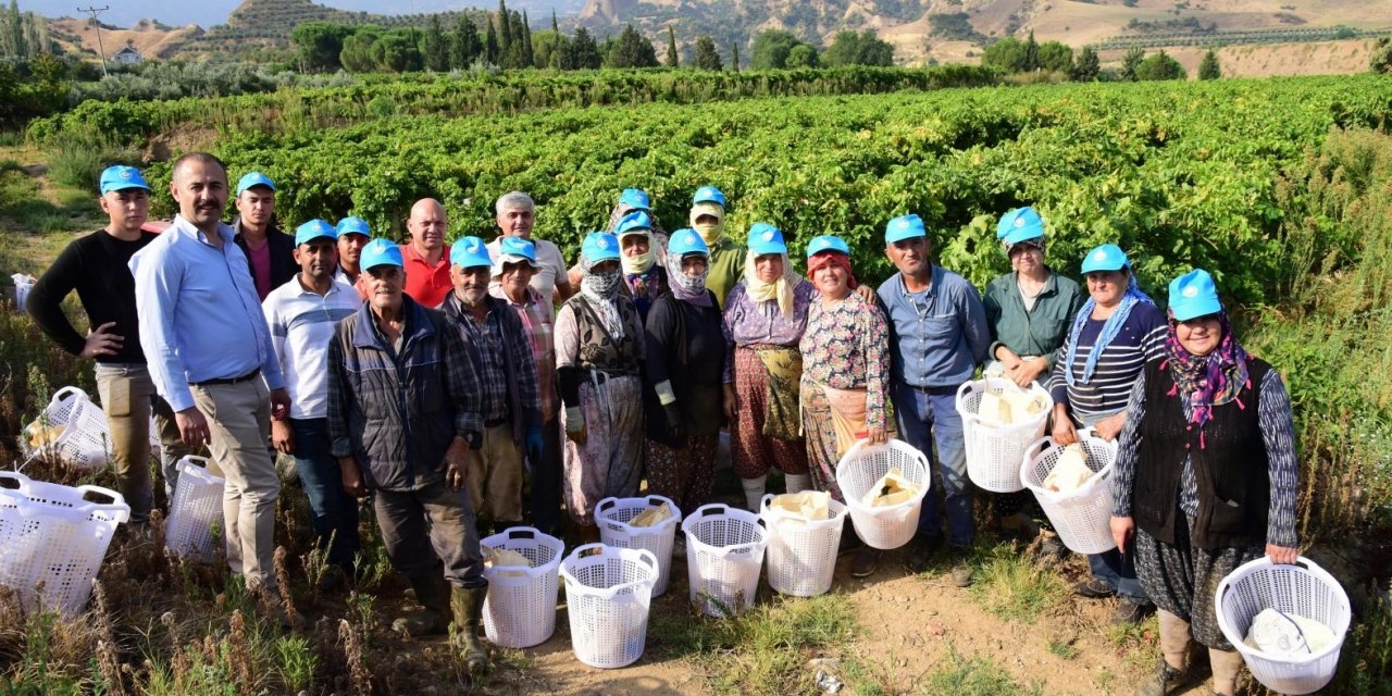 Manisa Büyükşehir, üretime alın terini katanları sevindirdi