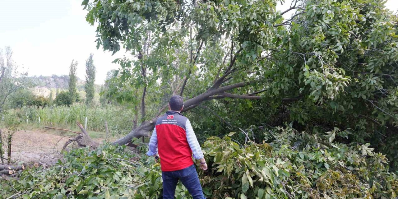 Gazeller’de yaşanan dolu olayında zarar 1 milyon 617 bin TL