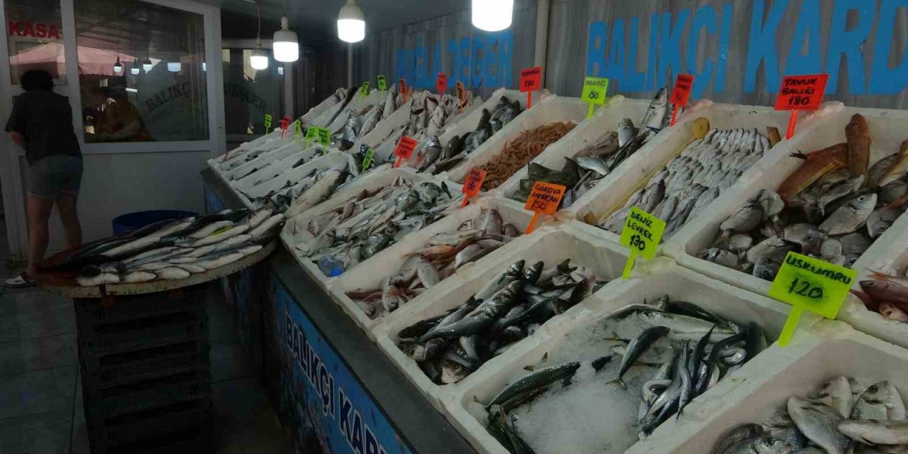 Muğla’da taze balıklar tezgahlardaki yerini aldı