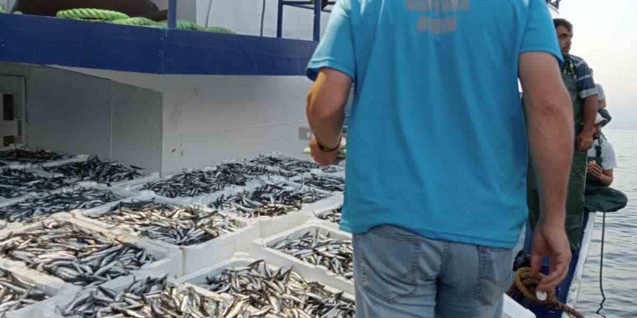 Balık avı sezonu ile birlikte gırgır teknelerinde denetimler de başladı