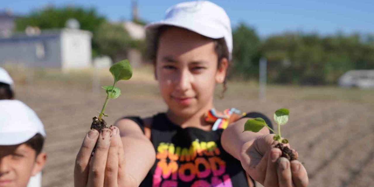 Seferihisar’ın yüzü tarımla gülüyor