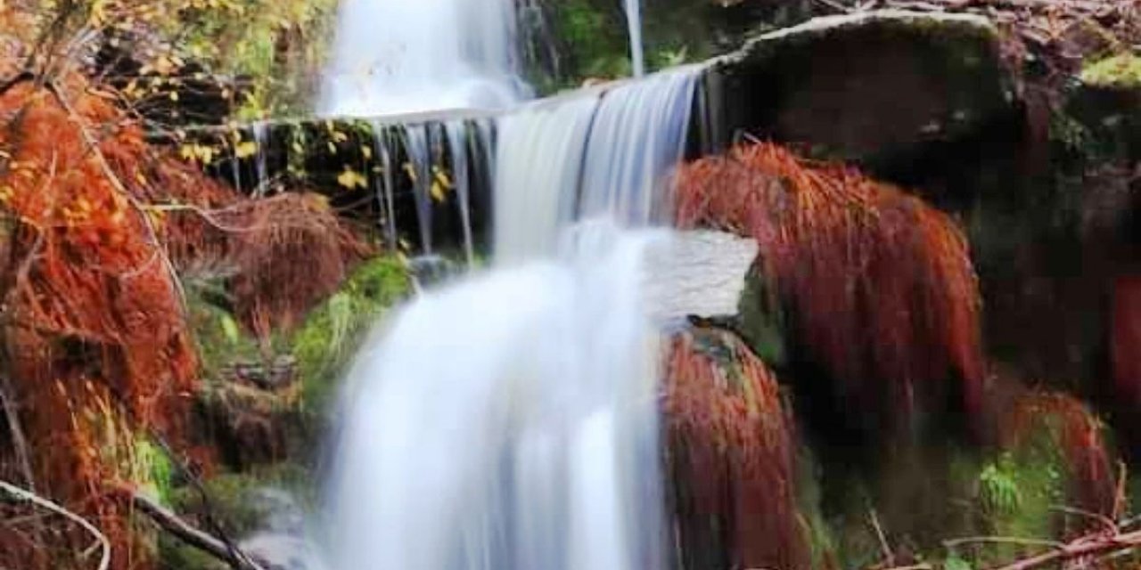 Kimi sesine kimi de görüntüsüne hayran kalıyor