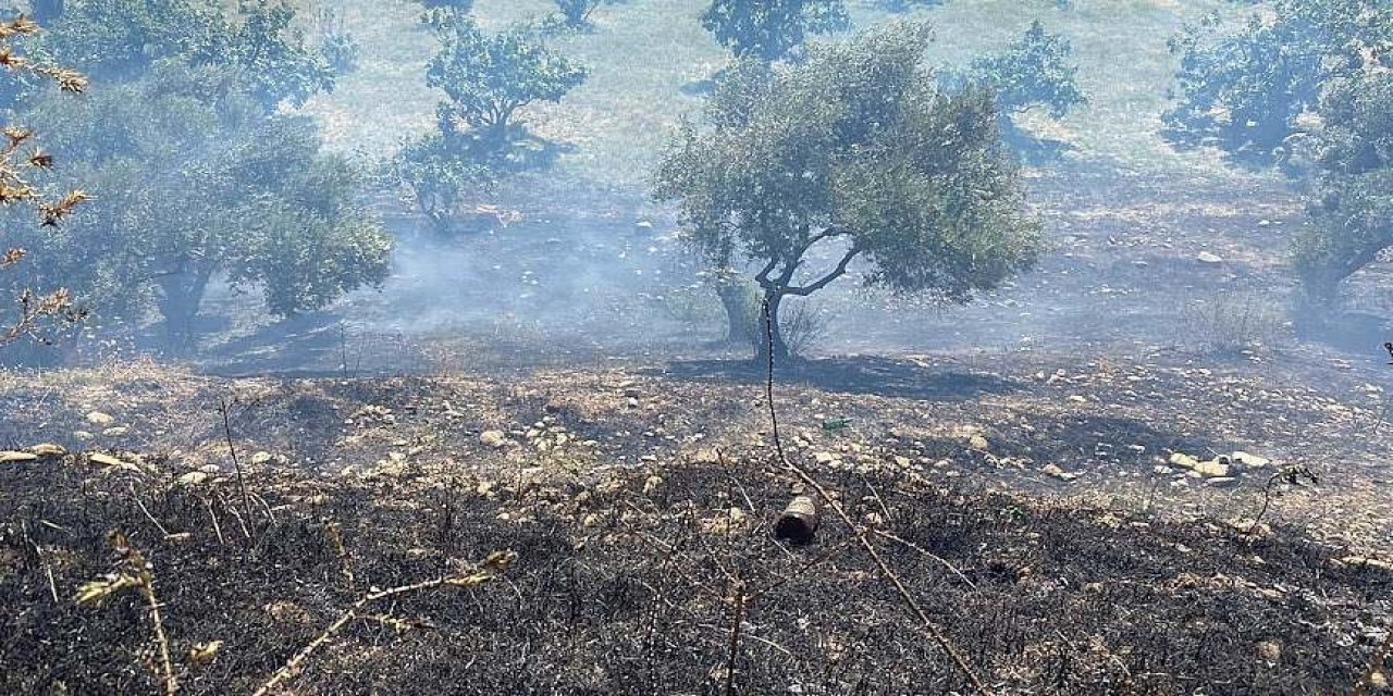 Köşk’teki yangında 1 dönüm arazi zarar gördü