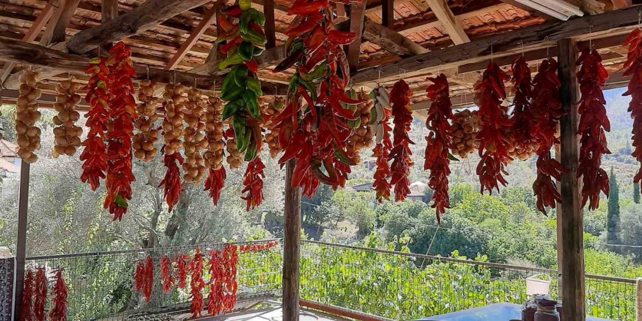 Muğla’da kış hazırlığı renkli görüntüler oluşturdu