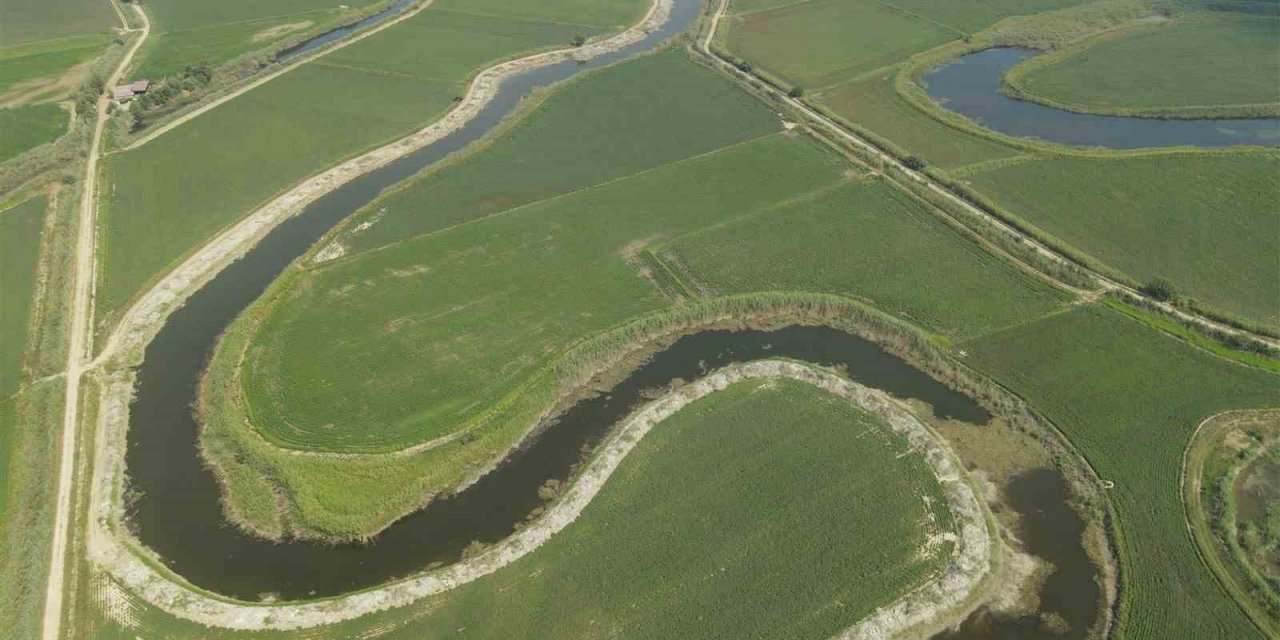 Söke Ovası’nda yatak temizleme çalışmalarına devam ediliyor