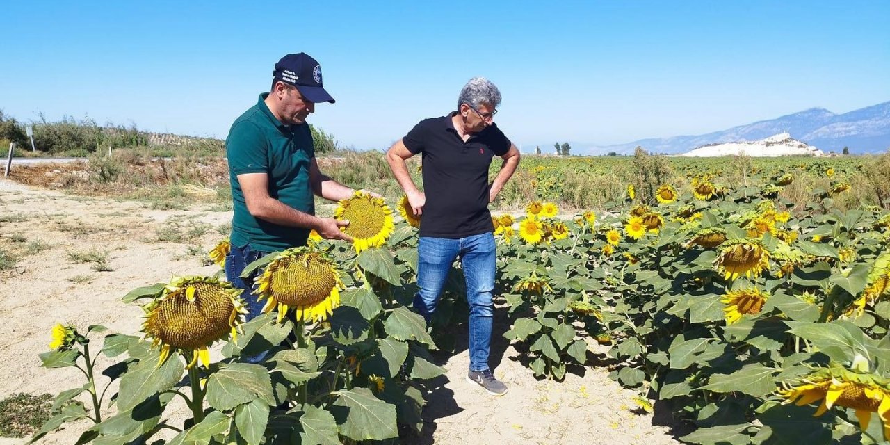 Didim’de haftalık kontroller devam ediyor