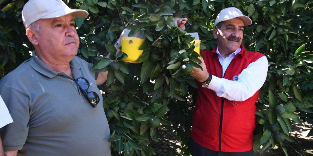 Ege Yaş Meyve Sebze İhracatçıları Birliği Başkanı Uçak: “Kalıntısız ve kaliteli üretim temel şartımız”