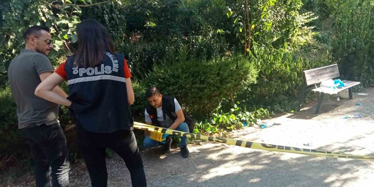 Parkta buluştuğu eski eşini öldürdü