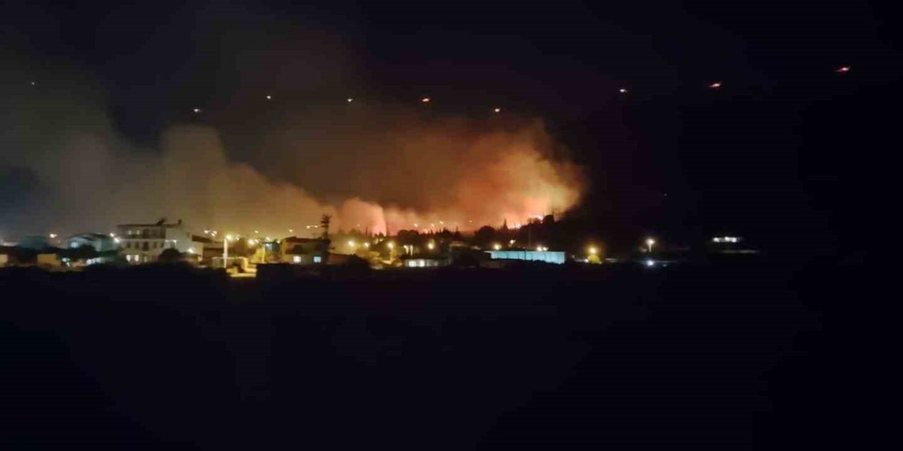 Söke’de makilik yangını kontrol altına alındı