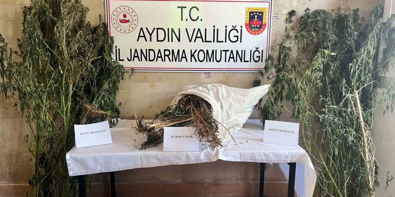 Germencik’te uyuşturucu operasyonu: 1 gözaltı