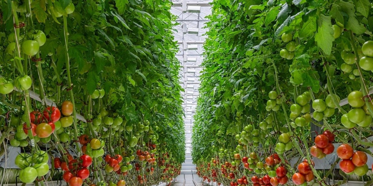 Sera OSB’ler mutlaka jeotermal kaynaklarla bütünleşmeli