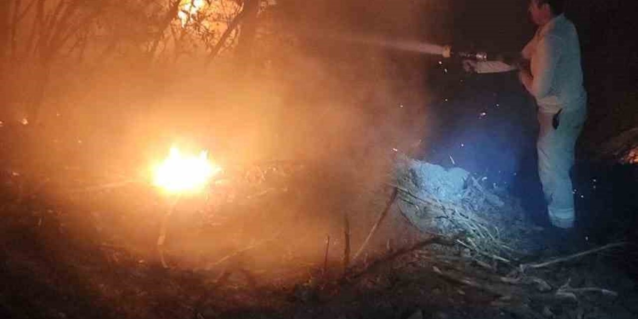 İzmir’de ormanlık alanda yangın