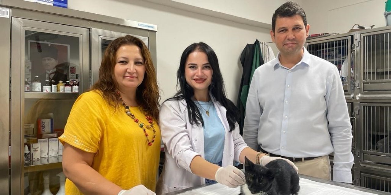 Minik Patiler Kliniği’nde bugüne kadar bin kedi kısırlaştırıldı
